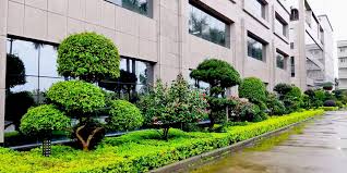 信阳城市绿化工程施工及验收规范最新